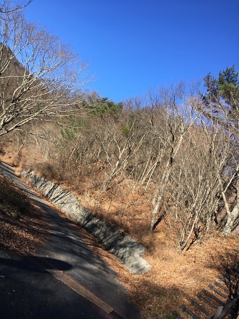 2BE0F782-9407-4C07-B78A-DA1C073D751E