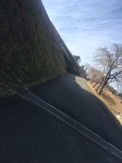 9008C31C-4CA9-458F-9742-E580D6C097B9