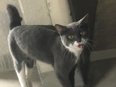 5AC7EE64-1C6D-4C55-80F7-97501D9456F7