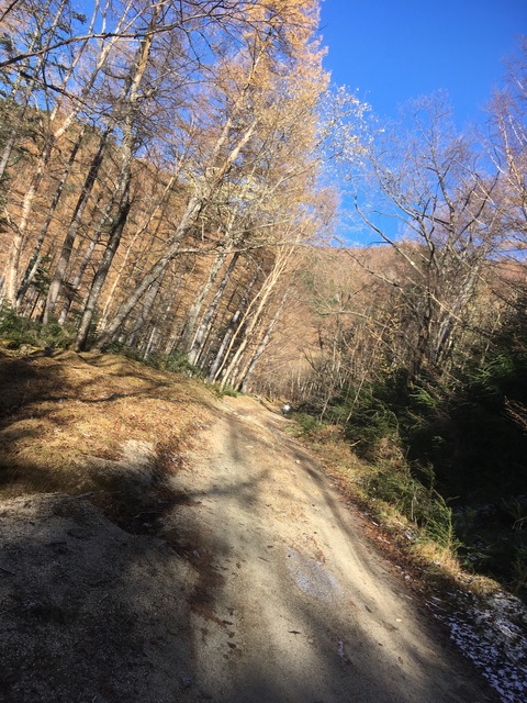 E7AD99F6-5661-433C-807F-829A2E540C12