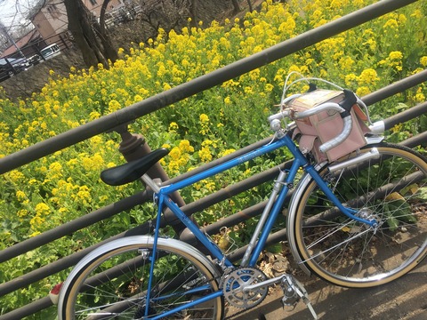 BB5F5C6F-506F-4A85-AEC5-23843386DBB6