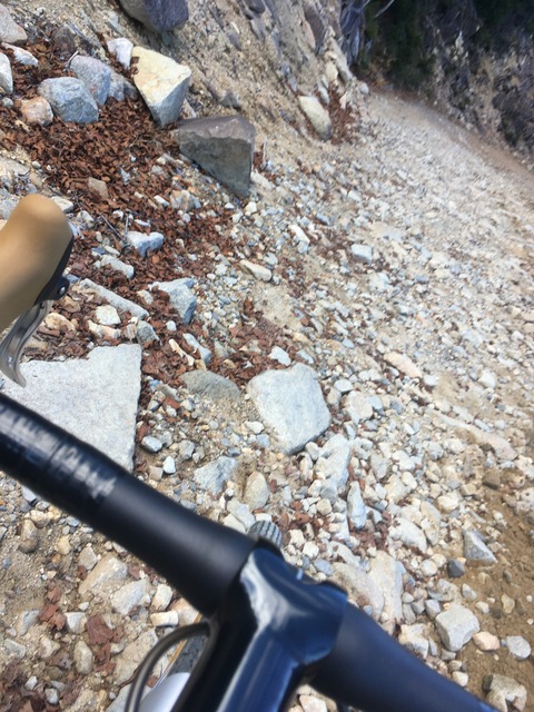 5F1A6F4F-8A1E-485C-8C1C-EF769989E2BA