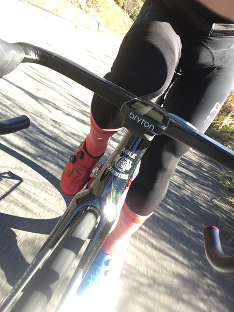 DE4E2D45-C1EE-4F29-B7B1-2A53C6725E05