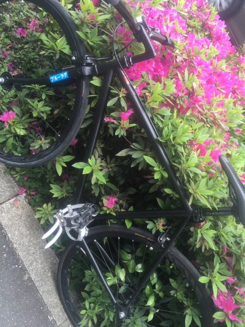 823870E6-EB4B-479B-BD47-75F045EC86DE