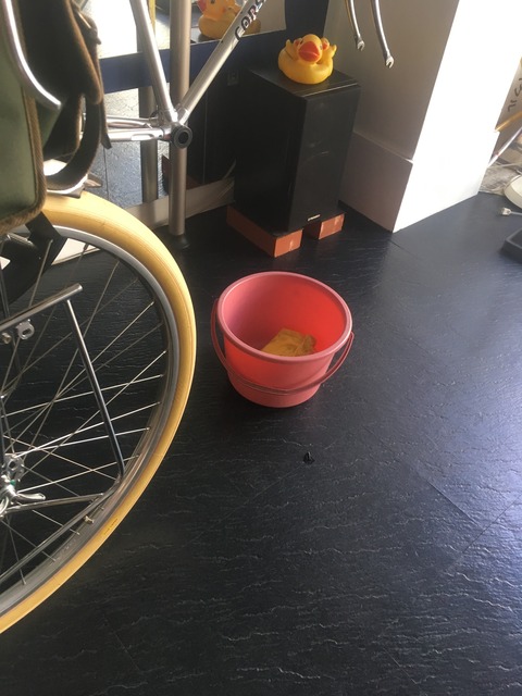 43433105-BAA3-4E1D-A570-126979E8713E