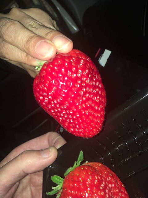 6474F120-6B92-4587-BDF1-CB468C517914