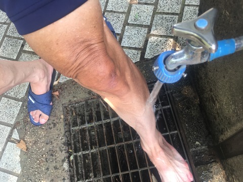 F5EDD6E6-DAB6-4CED-937E-414ADF4FC8E4