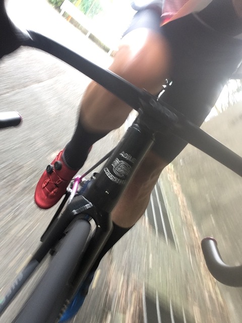 7471D473-1FA2-4C41-ABC6-B3111B133657