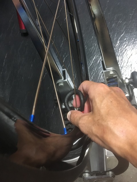 A7E94691-8967-46F4-AD28-F3D67657B3BC