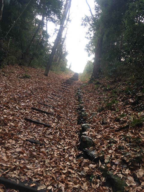 F5E0AFA2-CF27-4D00-A198-02B1530B7D42