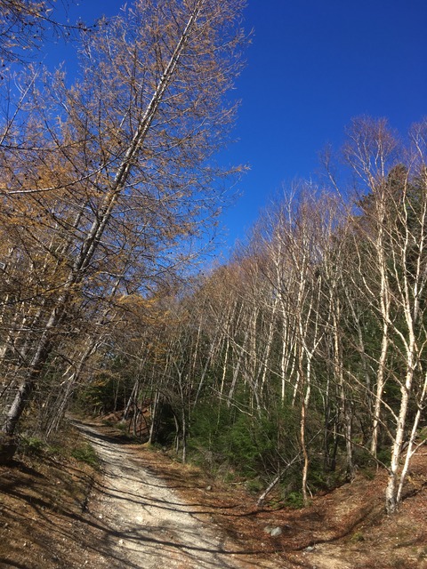 D73CE567-F432-4722-9EA8-5350E0678E77