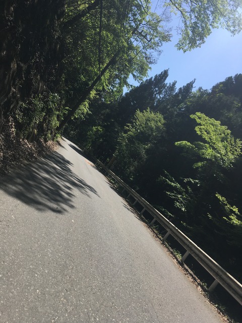 C2826448-D283-457C-94FB-02E0F4F22A83