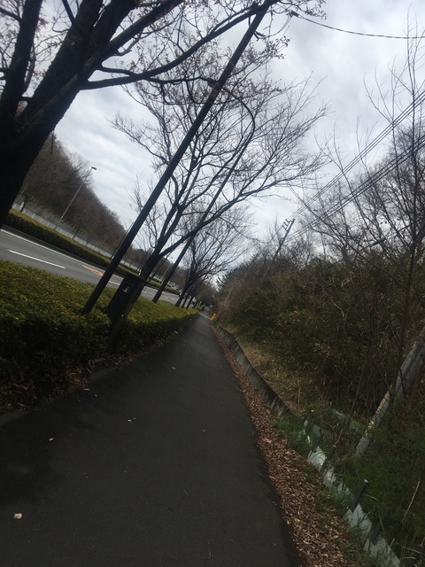 C42E341F-D15A-49D4-83AF-9A01DE2FB8F6