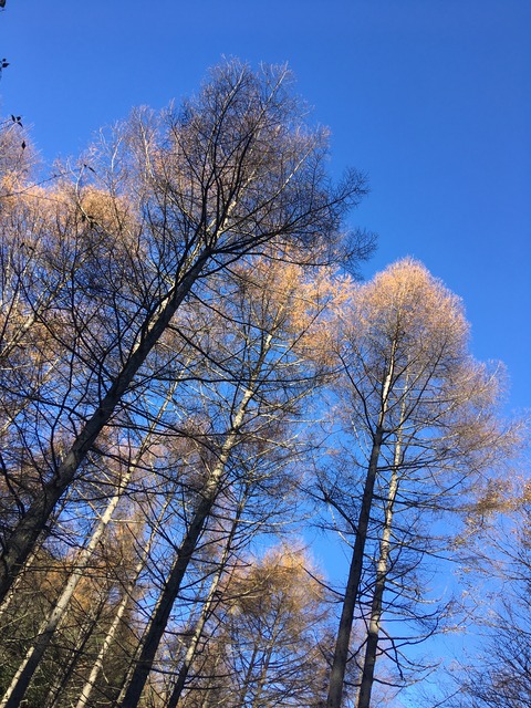 7D21AE4A-66F9-4996-9B1E-1E560F9EFE19