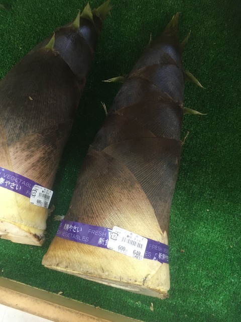 73FA8A48-C16A-472D-9BCE-C2AC208F19E5