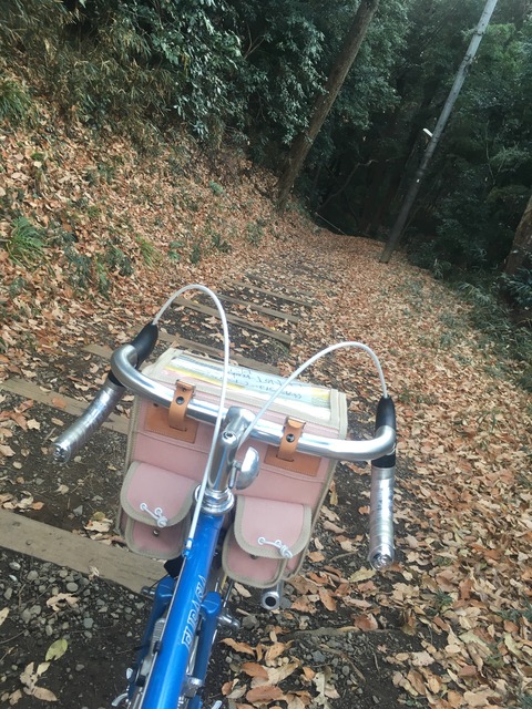 D2D92B1E-2B8A-4322-AFF4-8B675125F890