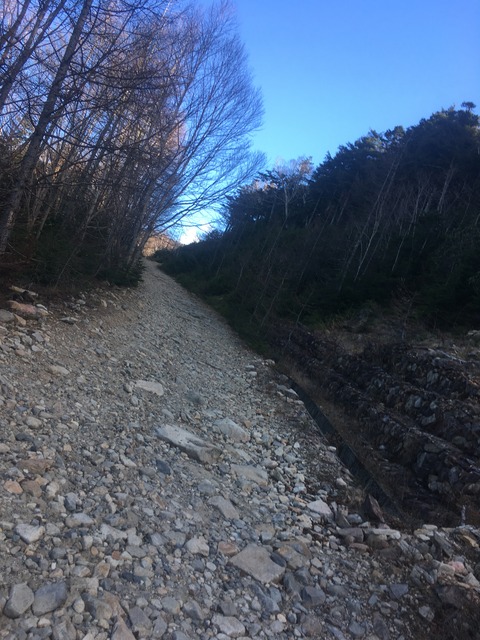 4126F3AF-B429-4790-8815-3915458C7A90