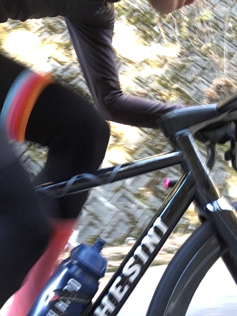 5F06F199-3E01-4CA8-8C36-43B74C974D14