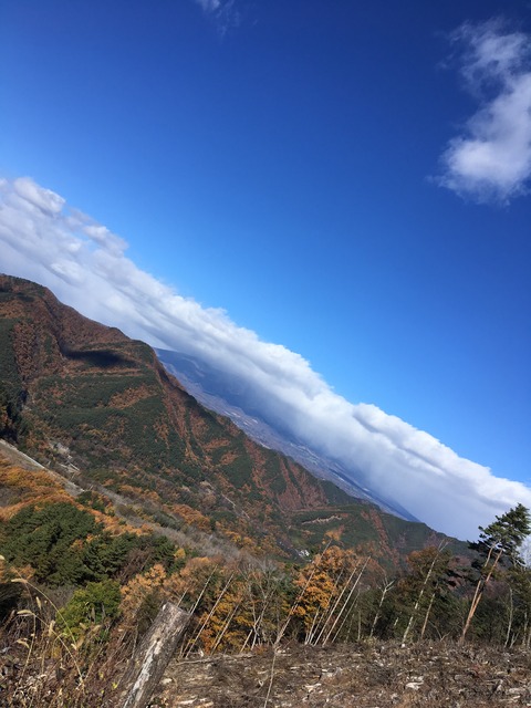 36EB0160-07A5-4F2F-9F11-8156E7FE61D3