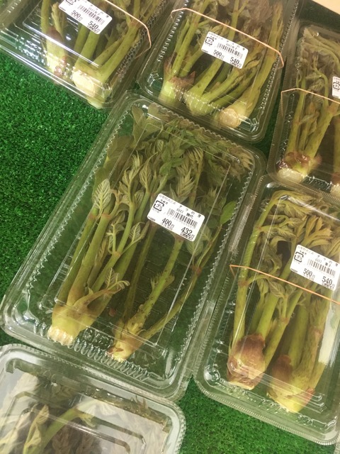 32CF45E8-5F66-41FD-AE24-29B196C3C44B