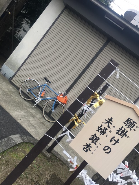 E19B9456-9A3A-454E-B69D-F728DCB3D068