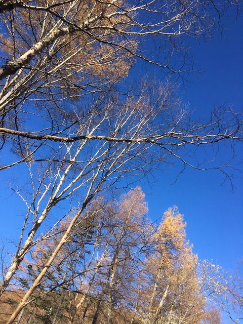 3E6630DC-017F-45C8-AF79-54A4F3E2E5D0