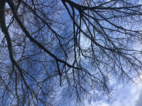 0ECFEE2D-6DCD-4159-9BFC-49D9EB3A5E8A