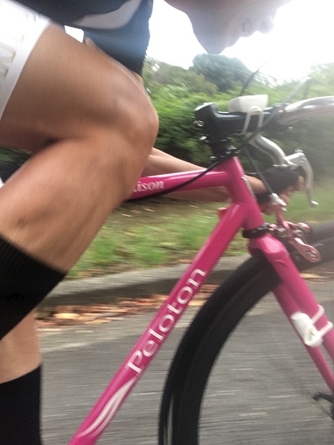 DCBECB1E-F0CF-4D4C-AE7E-7EF325662F80