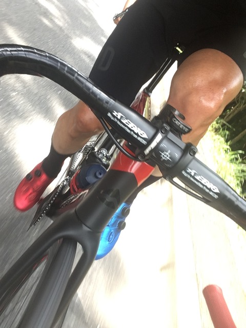 156AA536-1074-438C-80CE-E2BD6AA15B3F