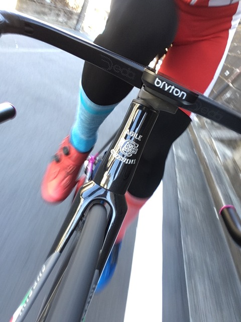 D6979B41-2B59-442C-8999-58CB184DA222