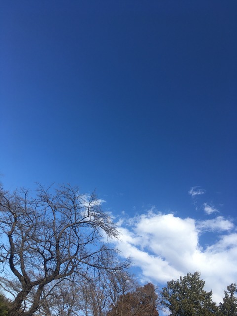 A0E9FBE1-F52A-437B-865D-C5FECBD06AE4
