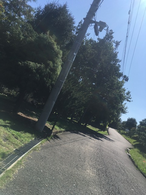 5621689F-41BA-42DB-9087-9A17CD7BE60D