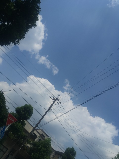 EE7BD98F-001B-4F1B-AC2E-B59DF82BD6C2