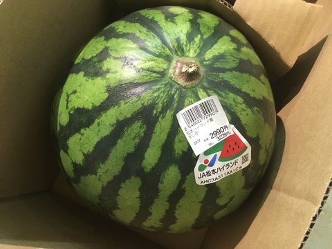 36E052DF-A536-47EE-8E48-F81F7013A1FD