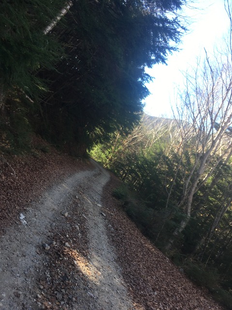 D916B559-D524-4E35-A941-23949091CDDA