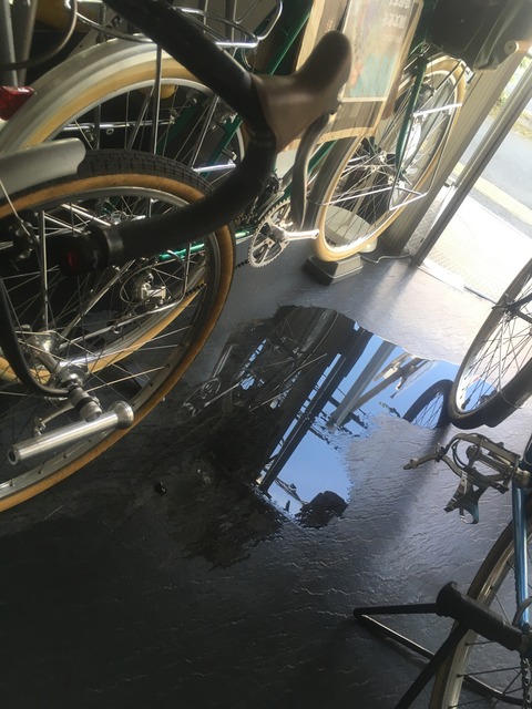 C0F28F5D-12C3-4D5E-BF16-47EB916F5777