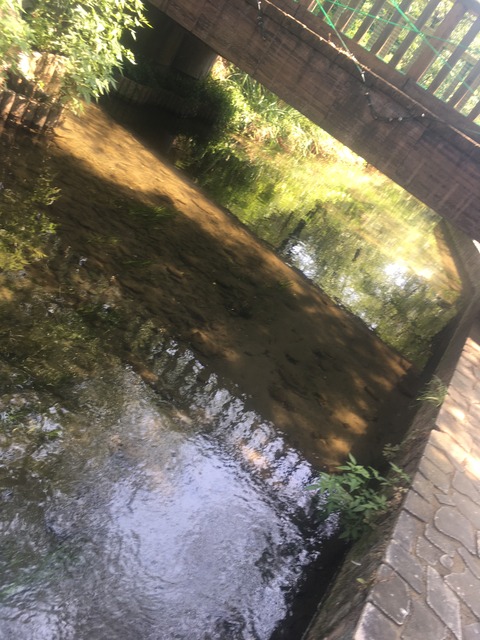 C7CAE823-21B5-4B5B-93E9-DD24005FEC7E