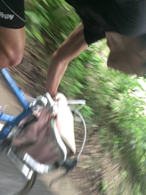 CFB1E11C-A0F1-40B5-BAA5-13FBA91563CB