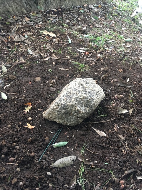 33A379B9-625D-44F8-AE61-FD8548218B9E