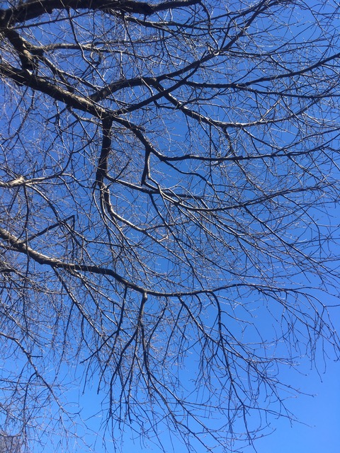 C60E2C9A-EC93-4261-8837-C04B3C1745B0