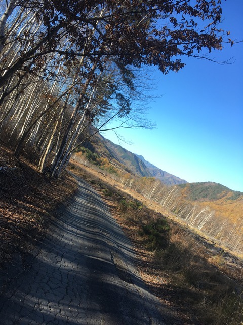 401EF9AF-D1C2-4272-BBD5-3D16A8CCA236