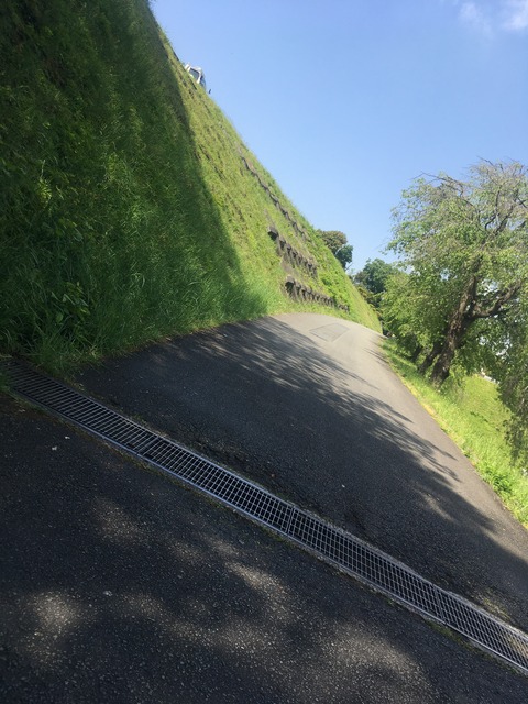 37B9EB79-236B-4B63-90F6-FA0A7DFE7404