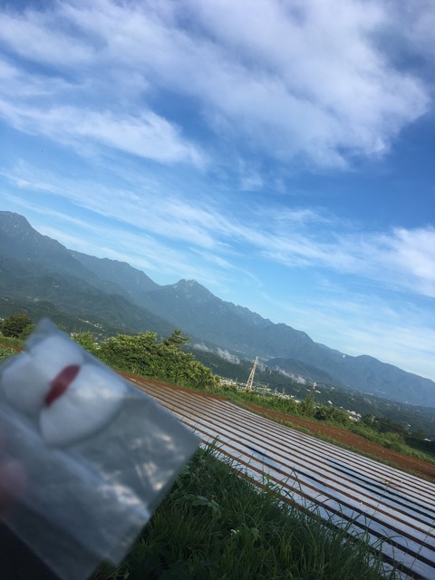 2DBC09B4-9A6E-432B-A8D0-A07301996E62