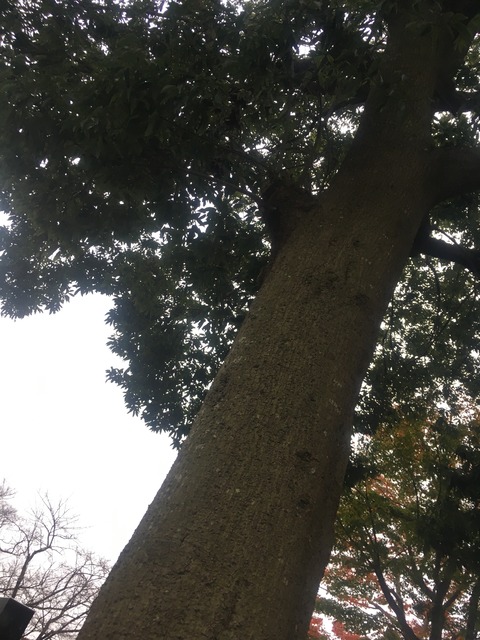 F10EE44F-FFF0-4362-B83C-6341C785EF12