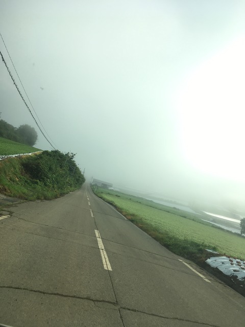 E09167B6-B1D4-4439-B848-B909E371D423