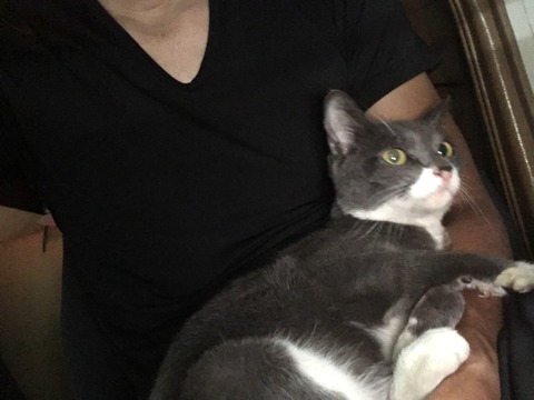 F443BE64-4FCB-4E78-B7F8-068799FE9339