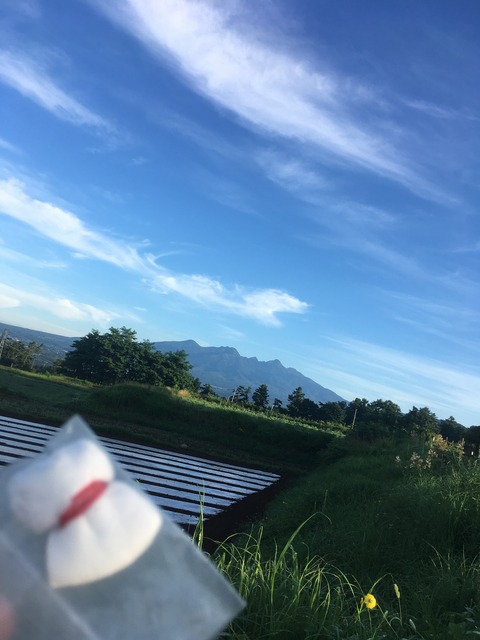 D18524AB-2CB9-4DF5-BD8E-E30D7D898F2D