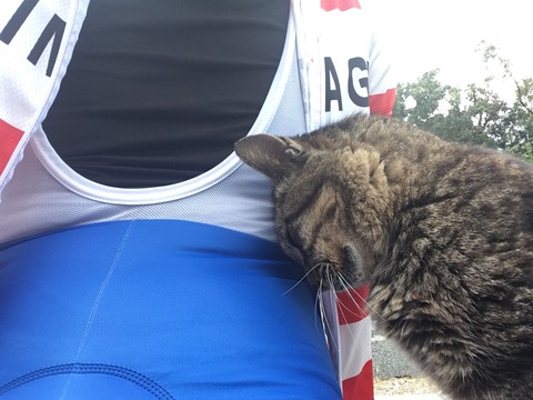 79C9A6C6-199C-4B19-8540-7EDFB1B9CE3C