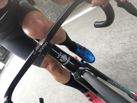 B295C34A-FDBB-41CF-A4DC-94F794FBBDEA