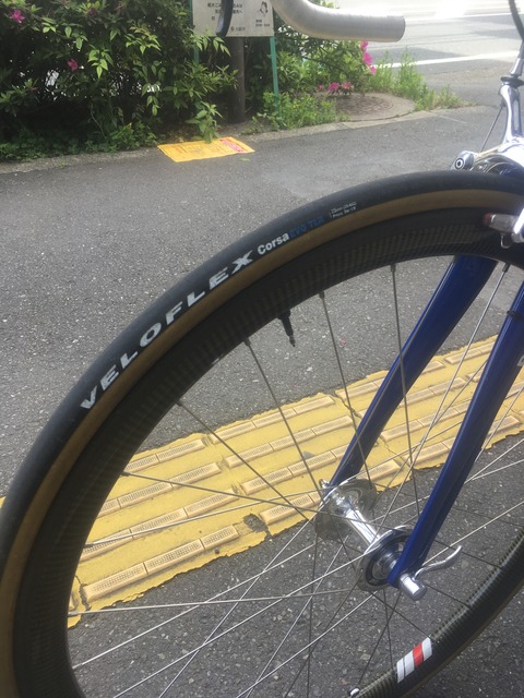 4CC26135-B065-443F-B0C6-350705AB0BB2